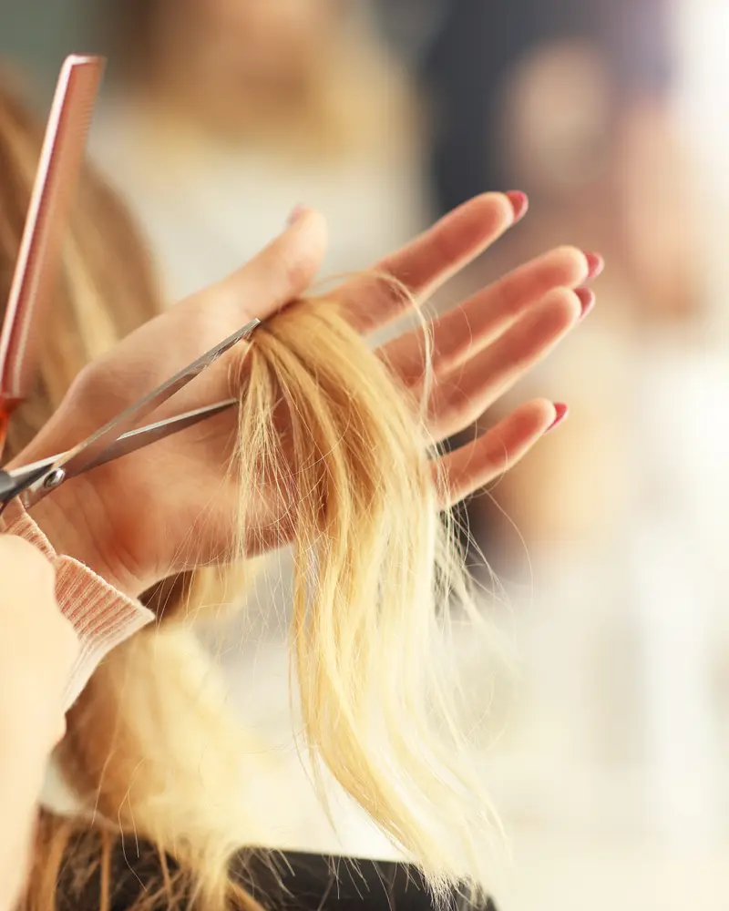 Precision haircut with shears